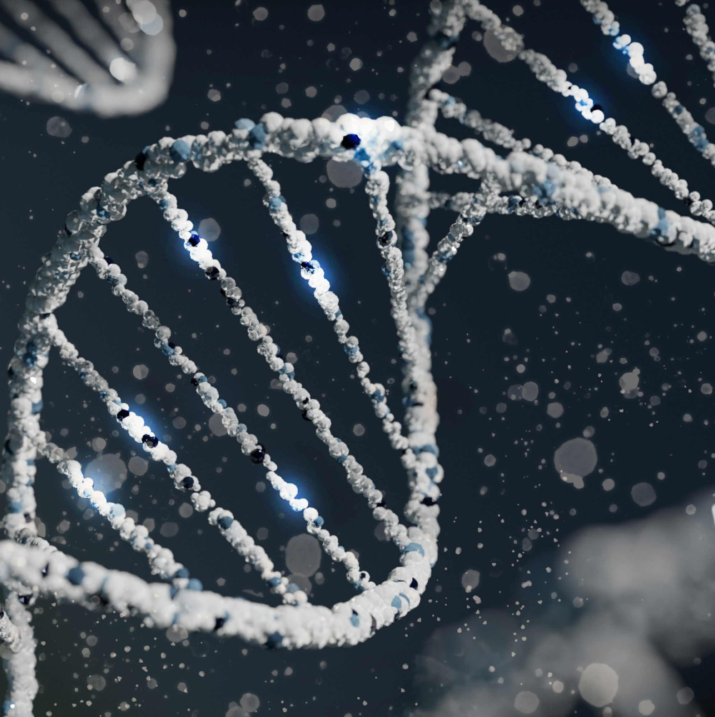 image of DNA